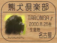 ��TARONGA mam����̂g�o�ւf�n�I